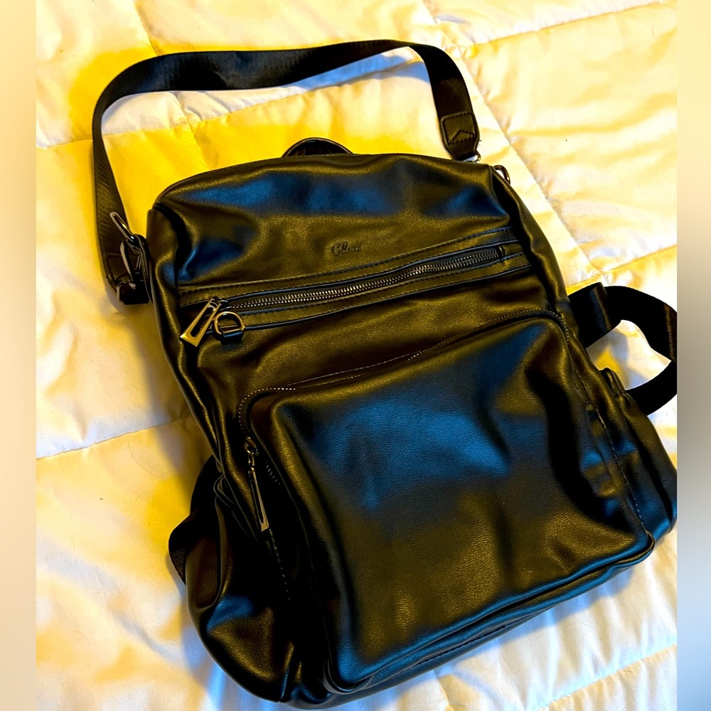 Travel backpack/purse